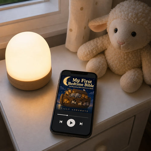 Bible Audio Edition