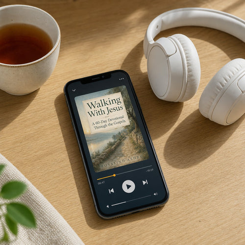 Bible Audio Edition